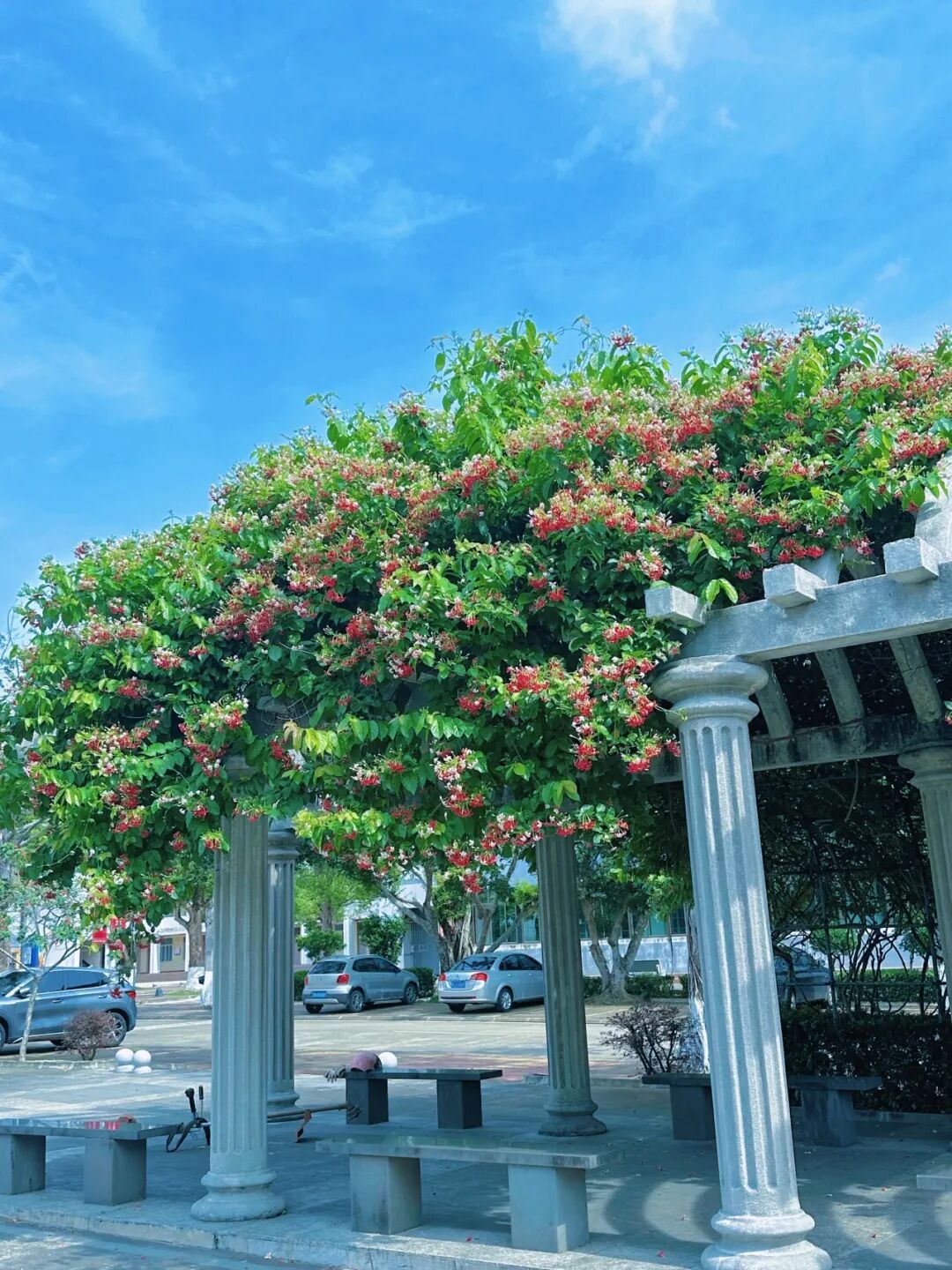 4D33C