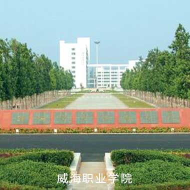 尊时凯龙·(中国区)人生就是搏