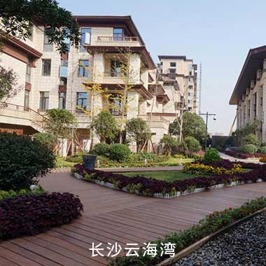 尊时凯龙·(中国区)人生就是搏
